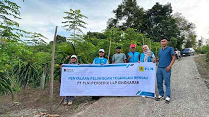 Program PLN Perkuat Produktivitas Kebun Buah Naga.