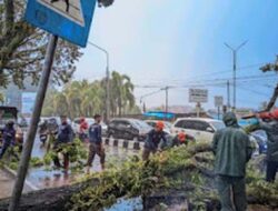 Cuaca Ekstrem Landa Padang, Warga Diminta Hindari Pantai dan Lokasi Rawan