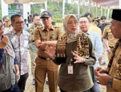 Pemerintah Perkuat Perhutanan Sosial Lewat Skema Blended Finance, Lima Puluh Kota Jadi Lokasi Prioritas