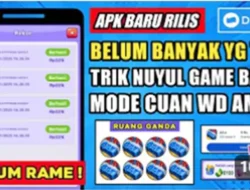 ChooBus Diklaim Bisa Hasilkan Saldo Dana, Simak Cara Main dan Withdrawnya