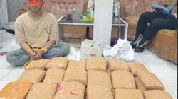 Upaya Pengiriman Ganja ke Bandung Digagalkan Polisi Bukittinggi.