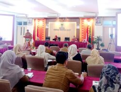 Perkuat Layanan Dasar Berbasis Digital, Pemprov Sumbar Luncurkan SAPA SPM dan RUNDIANG SPM