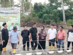 Wagub Vasko: Pertanian Modern Jadi Kunci Tingkatkan Produksi Pangan dan Ketahanan Pangan Sumbar