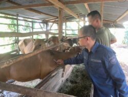 Dinas PKPP Solok Selatan Berikan Layanan Kesehatan Hewan Keliling
