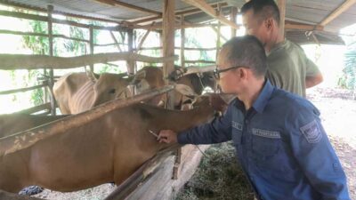 Dinas PKPP Solok Selatan Berikan Layanan Kesehatan Hewan Keliling