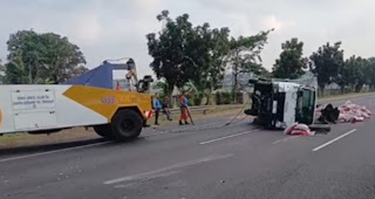 Mobil pikap muatan kacang merah terguling
