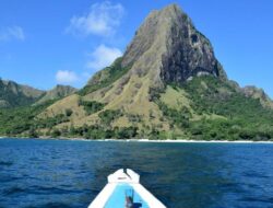 Viral di Media Sosial, Nuca Molas Disebut Mirip Latar Film Jurassic Park dan Moana