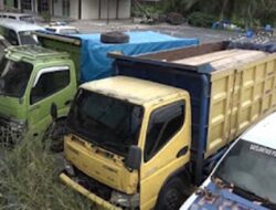 Dua Pelaku Pengangkutan Kayu Ilegal Ditangkap