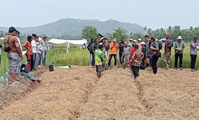 Kerja sama pertukaran pengetahuan di bidang pertanian.