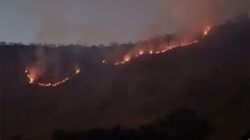 Kebakaran hutan dan lahan (karhutla)