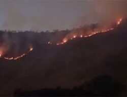 Api Melanda Blok Bantengan, Wisata Bromo Terganggu