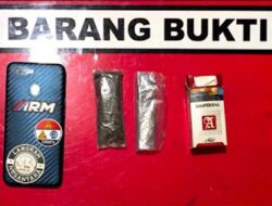 Satresnarkoba Polres Solok Amankan Pemilik Ganja