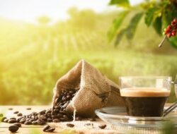 Ngopi Bijak, Dampak Positif, Saat Menikmati Kopi Ikut Jaga Lingkungan
