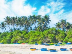 Turis China Nekat Naik Motor di Atas Batu Vulkanik To Vo Vietnam