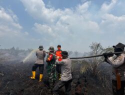 Lebih 50 Ha Hutan Gambut di Jambi Terbakar