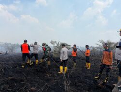 190 Hektar Hutan Gambut di Jambi Terbakar, 5 Petani Diamankan