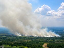 Kabut Asap Mengancam, 1.463 Titik Api Terpantau