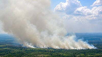 Kabut Asap Mengancam, 1.463 Titik Api Terpantau