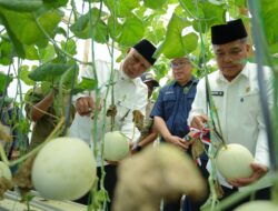 Gubernur Mahyeldi Dorong Pertanian Sumbar Berbasis Smart Farming
