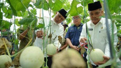 Gubernur Mahyeldi Dorong Pertanian Sumbar Berbasis Smart Farming