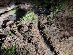 Hujan Mengamuk, Padang Pariaman Dilanda Banjir dan Longsor : Warga Dievakuasi