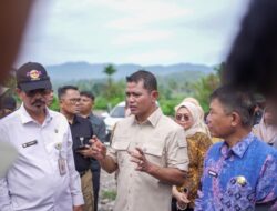 Kementan Apresiasi Percepatan Penanganan Pascabencana Pertanian Kabupaten Solok