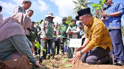 Pemko Payakumbuh Tanam 3.000 Bibit Pisang untuk Perkuat Pasokan Buah Lokal Program MBG