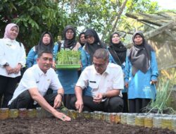 Pemko Payakumbuh Luncurkan GEMPITA BERSAMA, 15 Kelompok Wanita Tani Terima Bantuan Budidaya Pangan