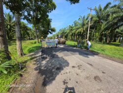 PT Socfindo Kebun Bangun Bandar Kembali Perbaiki Jalan Provinsi di Serdang Bedagai