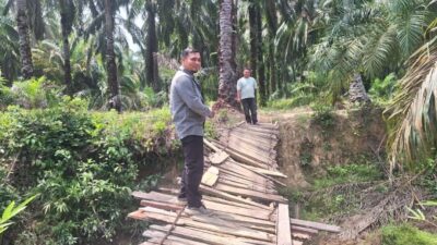 Tak Kenal Medan Sulit, Kepala Unit BRI Terus Dampingi UMKM hingga Naik Kelas