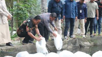 Pemerintah Kabupaten Agam kembali mendapat dukungan dari pemerintah pusat dalam upaya mempercepat pemulihan pascabencana hidrometeorologi. Sekretaris Jenderal Kementerian Kelautan dan Perikanan (KKP) RI, Dr. Ir. Andy Artha Donny Oktopura, S.T., M.T., M.Eng., melakukan kunjungan kerja ke Kabupaten Agam, Sabtu (1/8).