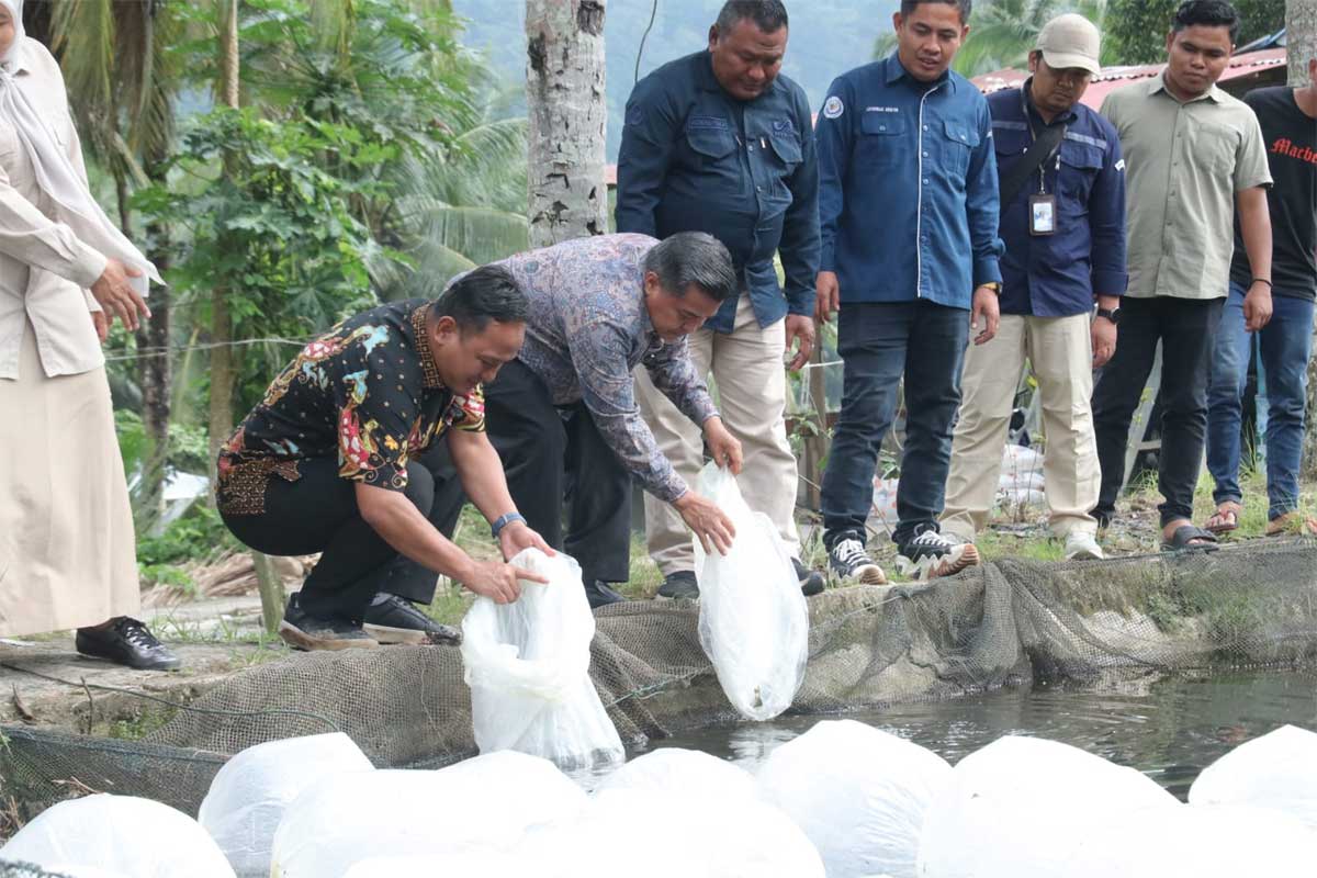 Pemerintah Kabupaten Agam kembali mendapat dukungan dari pemerintah pusat dalam upaya mempercepat pemulihan pascabencana hidrometeorologi. Sekretaris Jenderal Kementerian Kelautan dan Perikanan (KKP) RI, Dr. Ir. Andy Artha Donny Oktopura, S.T., M.T., M.Eng., melakukan kunjungan kerja ke Kabupaten Agam, Sabtu (1/8).