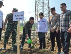 Penanaman Bambu Perkuat Mitigasi Bencana di Salareh Aia