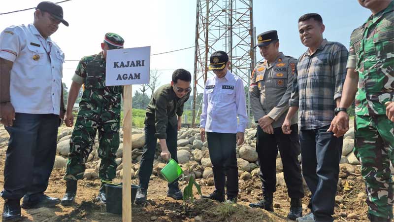 Penanaman Bambu Perkuat Mitigasi Bencana di Salareh Aia