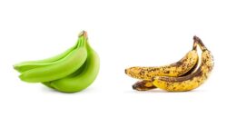 Tingkat kematangan pisang memengaruhi kandungan pati, gula, dan antioksidan.