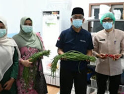 Pemko Padang Cek Residu Pestisida Bahan MBG