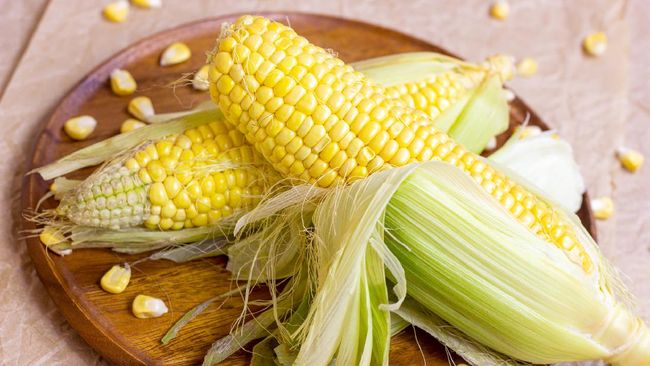 Jagung umumnya dimasak dulu sebelum disantap. Namun, apakah jagung yang masih mentah bisa langsung dimakan seperti halnya sayuran lain?
