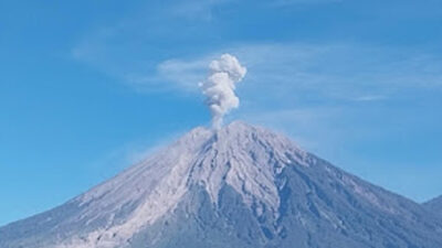 Gunung Semeru Erupsi, Kolom Abu Capai 700 Meter