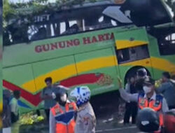 Bus Gunung Harta Tabrak Dua Pohon di Tuban, 13 Orang Selamat
