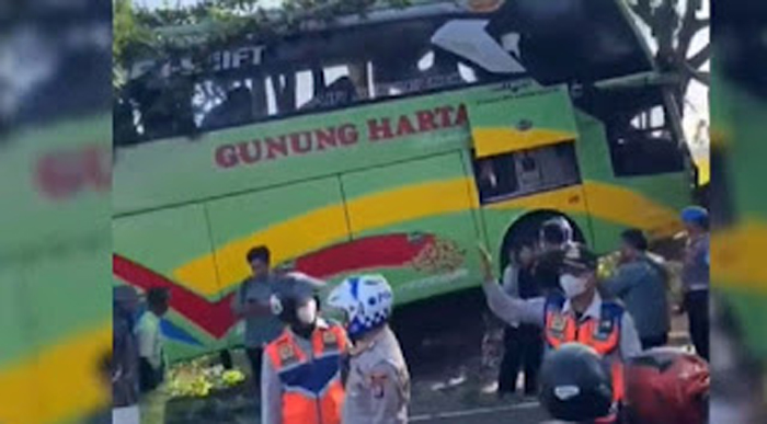 Bus Gunung Harta menabrak dua pohon.