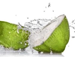 Air Kelapa Bisa Mempercepat Haid? Ini Faktanya