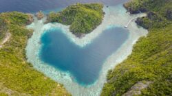 Pulau Misool, Raja Ampat, Indonesia.