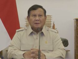 Kebakaran 458 Hektare Mengancam Dekat IKN, Prabowo Minta Pemadaman Diperkuat