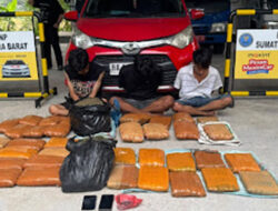Ganja 44 Kg dari Sumut Digagalkan di Pasaman