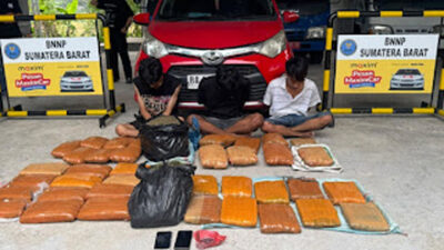 BNNP Sumbar Sita 44 Kg Ganja Di Dalam Calya Merah