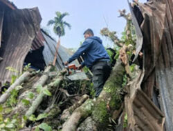 Diterjang Pohon Tumbang, Dapur Warga Padang Rusak