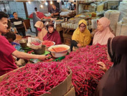 Harga Cabai di Pasar Raya Padang Kembali Naik