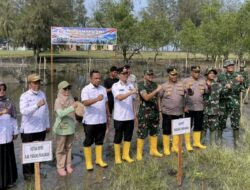 HUT TNI ke-81: 1.000 Mangrove Jadi Benteng Hidup Batang Gasan