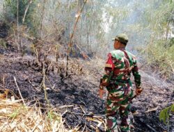 “Di Tengah Kemarau, Babinsa Berpacu dengan Kobaran Api”
