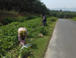 Lapor Bu Bupati, Kadis LH Labuhanbatu Konsisten Gelar Kurve
